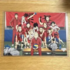 ゴミ捨て場の決戦　映画特典第2弾　音駒高校　集合写真