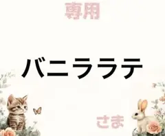 専用