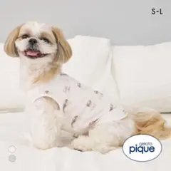 新品未使用ジェラートピケ　シーズー シーズーチャーム(ぬいぐるみ)｜ルームウェア・パジャマ通販の