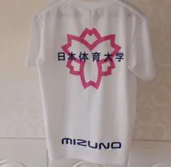 2026年最新】日体大 バレーの人気アイテム - メルカリ