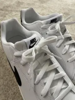 Nike スニーカー コートロイヤル　30センチ