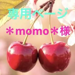 専用ページ　＊momo＊様　無害シリコンモールド