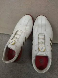 Item thumbnail for item 2fbdb181-f620-4fe3-92fc-6285613926cd