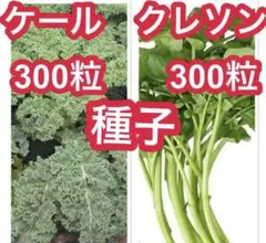 Ryon(プロフ必読！)様 リクエスト 2点 まとめ商品