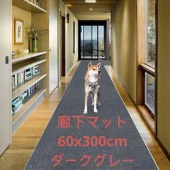 Item thumbnail for item dd20c00b-54fc-4568-a45a-c11acc433e06