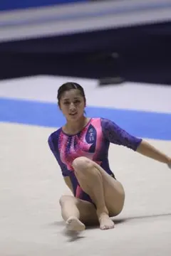 体操選手国内大会 画像集 國士舘(福永選手以外）