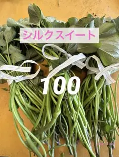 シルクスイート切り苗 150本 - メルカリ