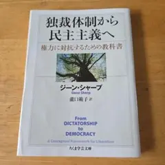 独裁体制から民主主義へ