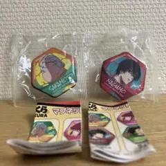 サカモトデイズ　くら寿司　マグネットシート 2個セット×2種類