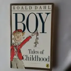 Boy: Tales of Childhood