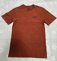 patagonia Tシャツ