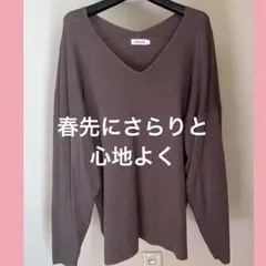 LEPSIM ブラウン Vネック 長袖ニット　春・秋　薄手