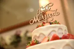 ケーキトッパー　Just Marred