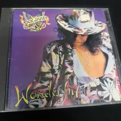 Rick James Wonderful