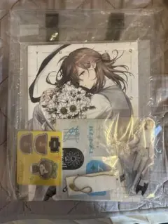 CNR+ ChroNoCoffin APPLEBOMB U助 にじさんじ ChroNoiRグッズセット(begin+棺桶型BOX+イラスト