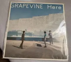 2025年最新】grapevine lpの人気アイテム - メルカリ