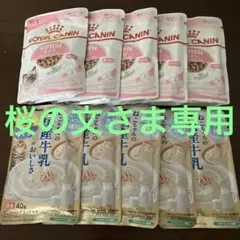 Item thumbnail for item 68615183-e701-4712-9ee3-c0aef25f6d0c