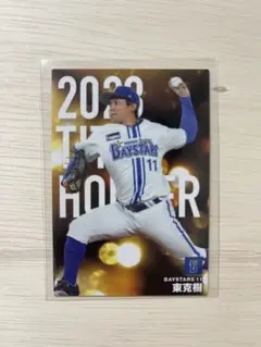 プロ野球チップス2024　横浜DeNAベイスターズ　東克樹