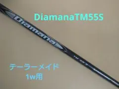 Item thumbnail for item 4c0a15f0-c8ef-465b-82ad-12f8fd8156e4