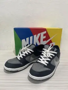 NIKE SB DUNK LOW PRO E 