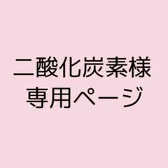 二酸化炭素様専用ページ