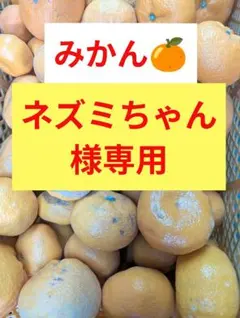 みかん　ネズミちゃん様専用