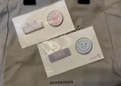 Item thumbnail for item 174746ba-d8b6-42be-9e6a-cb62b2226b93