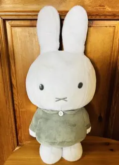 Item thumbnail for item f77096cd-745b-47b9-9856-f8c4b99cfb31