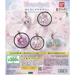 ジュエルペット めじるしアクセサリー オーロラVer ルビー ガーネット他