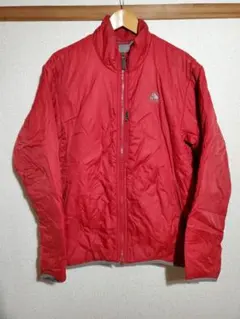 ダウンジャケット NIKE acg ナイキ エーシージー 90s