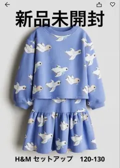 セットアップ 120