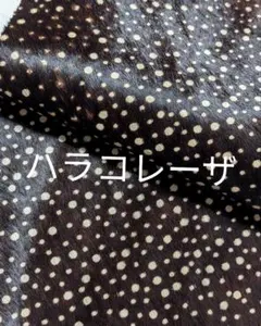 Item thumbnail for item 59e2bde8-1d0a-4899-a0bd-bf49214e71ed