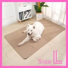 Item thumbnail for item baf45132-9c6c-483a-9354-a363d5f8a6d3