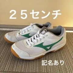 Mizuno スポーツシューズ ホワイト/グリーン