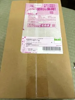 【完全未開封】ポケモンセンタースペシャルBOX トウホク 2次抽選分　ピカチュウ