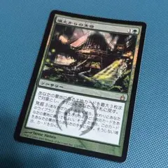 2025年最新】壌土からの生命 foilの人気アイテム - メルカリ