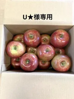 青森県産りんご(専用)のサムネイル