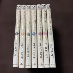 初版】ローゼンメイデン 愛蔵版 1巻 2巻 セット PEACH-PIT - メルカリ
