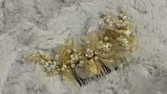 Item thumbnail for item 5d254459-d1db-4448-8eff-8dd3039e804b