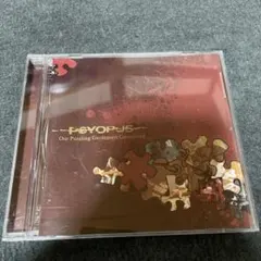 PSYOPUS Our PuzzlingEncountersConsidered