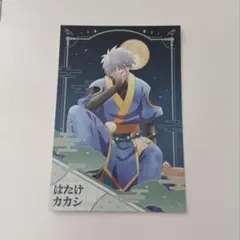 はたけカカシ NARUTO 月下の忍 ポストカード