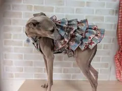 イタグレ服　ヒラヒラミニワンピイチゴ柄のサムネイル
