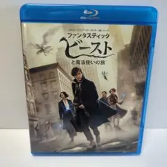 ファンタスティック・ビーストと魔法使いの旅