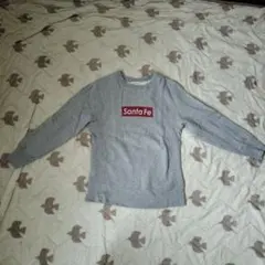 チャオパニック　トレーナー