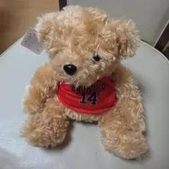 テディベア ぬいぐるみ SHOHOKU 14番 ユニフォーム