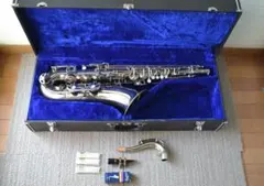 2025年最新】PREMONADO サックスの人気アイテム - メルカリ