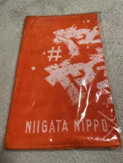 アルビレックス新潟　新潟日報サンクスデー　限定　やってやろうぜ　タオル