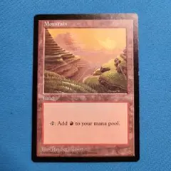 2026年最新】apac mtgの人気アイテム - メルカリ