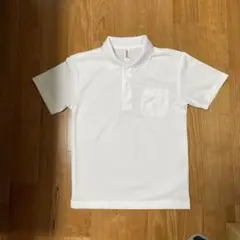 Item thumbnail for item 8fb3249c-f10e-456a-bf2a-dd12329e4e5c