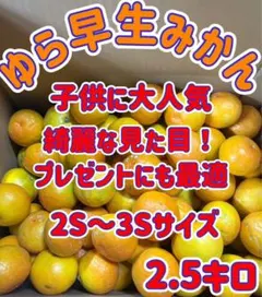 農家直送　鮮度抜群！！♡ゆら早生みかん♡ 2.5キロ